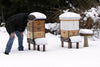 A beekeeper checking the hives after a snowfall.